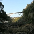 IMG_6246.jpg