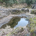 IMG_6247.jpg