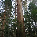 IMG_6271.jpg