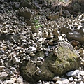 IMG_6346.jpg