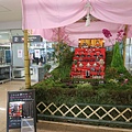 IMG_6409.jpg