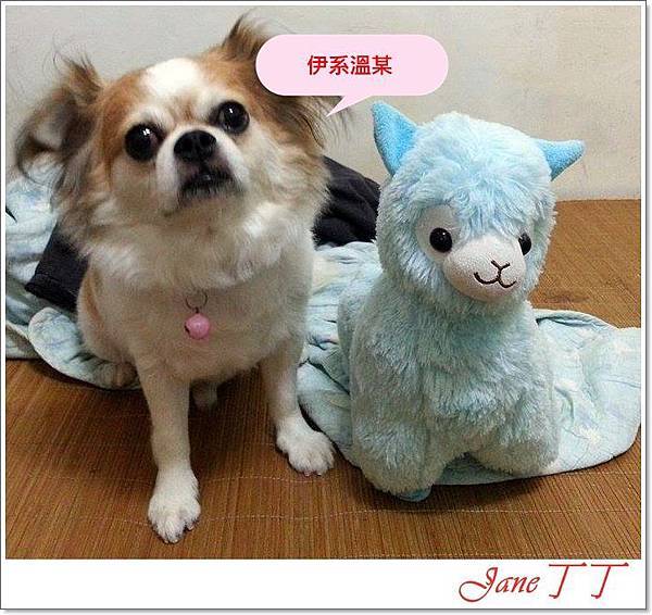 11714476_1123188071028534_1868419664_n