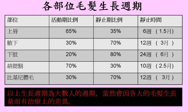 各部位毛髮生長週期.jpg