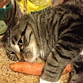 carrot2