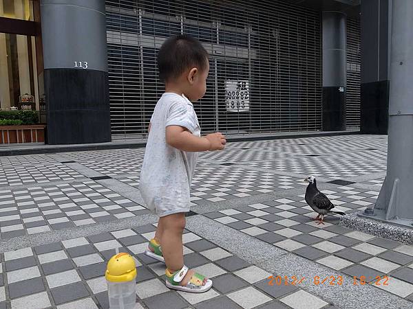 20120623阿默土城總店下午茶13