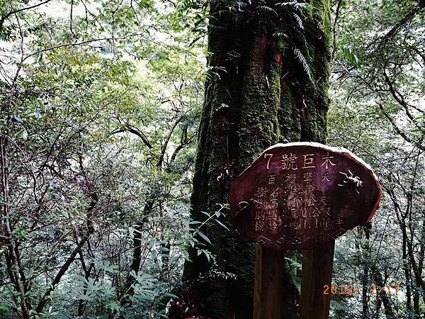 20120717拉拉山一日遊76