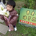 20140322陽明山採海芋w愷65.jpg