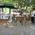 20140530-20140604日本京都之旅Day 2_012.jpg