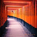 20140530-20140604日本京都之旅Day 5_102.jpg