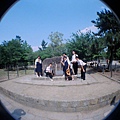 20140531京都lomo09.jpg