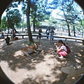 20140531京都lomo24.jpg