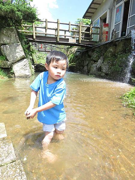 20150406竹子湖拔海芋20.jpg