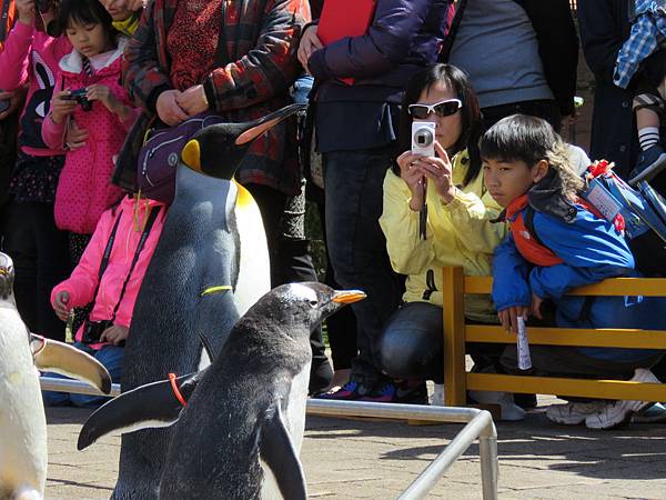 20150419_DIVA北海道員工旅遊97.JPG