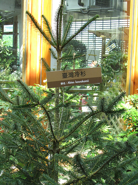 20110226蕭寶貝7個月逛花博38.JPG