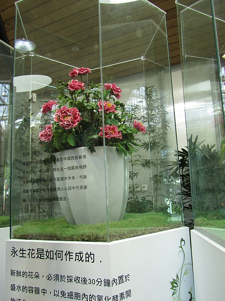 20110226蕭寶貝7個月逛花博24.JPG