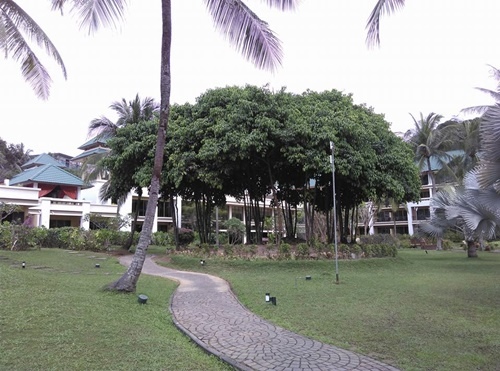 13879304_1176413005759707_8057519252250990036_n