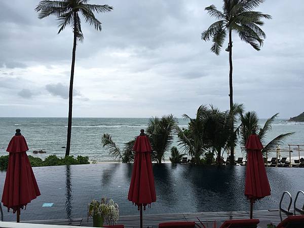 IMG_2254.JPG IMG_2254.JPG