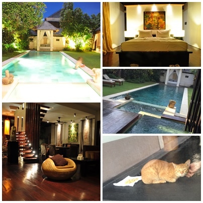 星光.jpg 星光.jpg