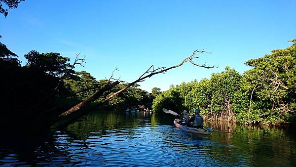 2017129 第二天_170205_0201.jpg 2017129 第二天_170205_0201.jpg