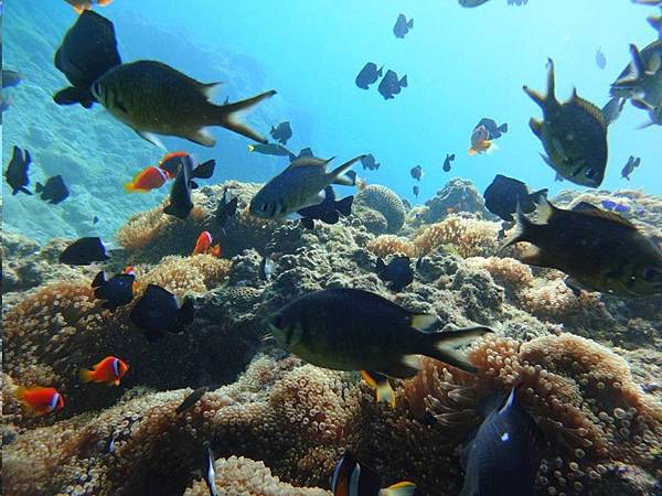 messageImage_1479699149867.jpg messageImage_1479699149867.jpg