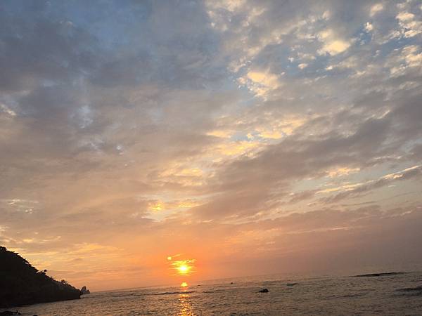 Ivy_504.jpg Ivy_504.jpg