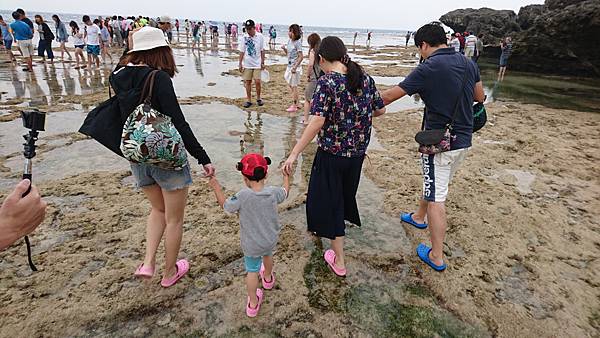 DSC_0089_1.JPG DSC_0089_1.JPG