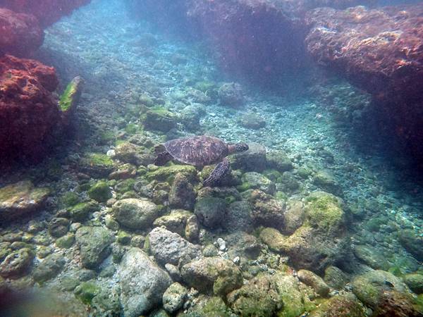 DSC01700.JPG DSC01700.JPG