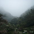 大溪山上雲霧繚繞