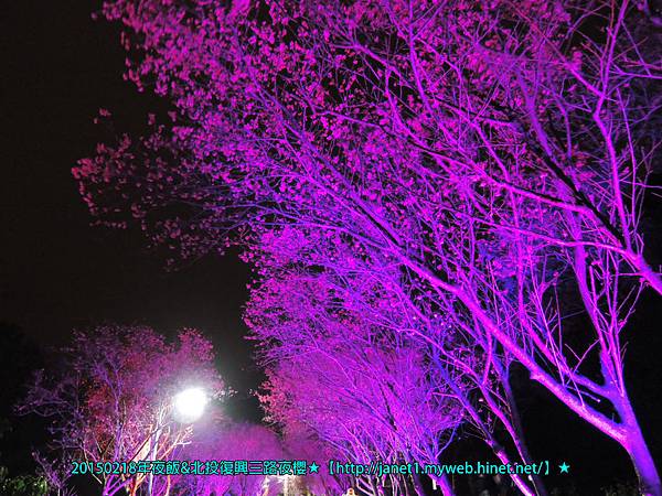 DSCN9656 拷貝 DSCN9656 拷貝
