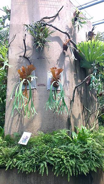 台北典藏植物園