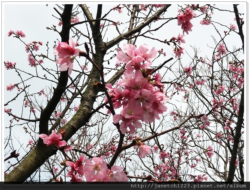 新北市三芝三生步道