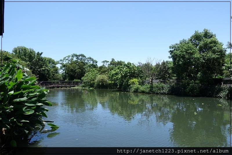 桃園八德碑塘自然生態公園