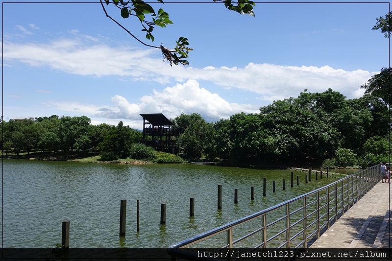 桃園八德碑塘自然生態公園