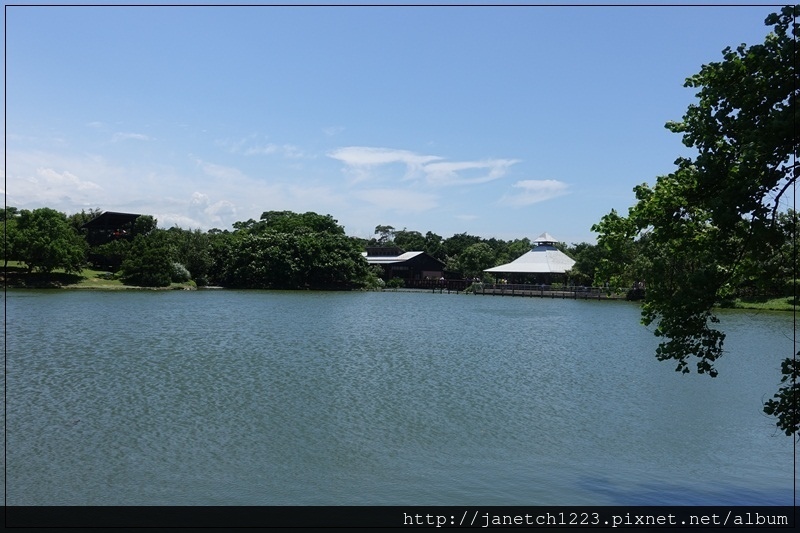 桃園八德碑塘自然生態公園