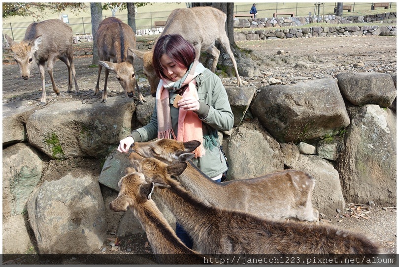 20171107-1111日本關西自由行 20171107-1111日本關西自由行