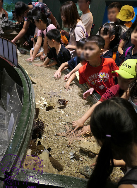 20 海生館 台灣水域館 觸摸池