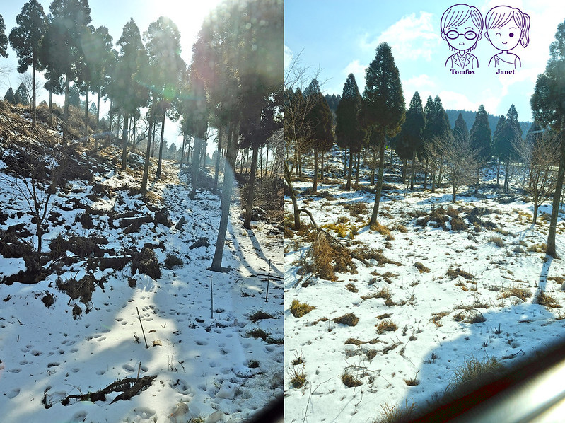 12 阿蘇登山線 車程