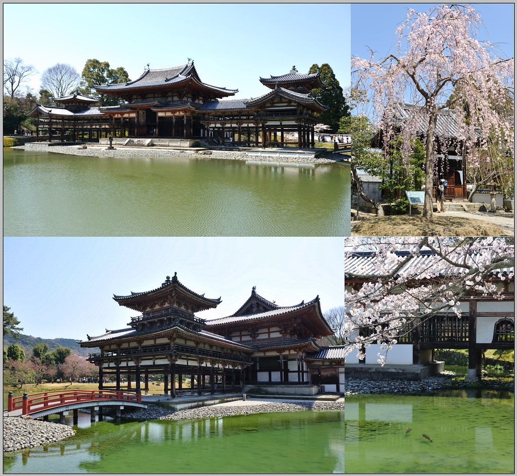 3 大阪 平等院