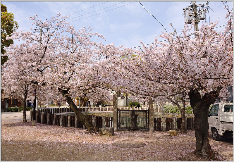 10 大阪 四天王寺