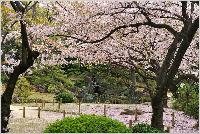 18 大阪 四天王寺 光池