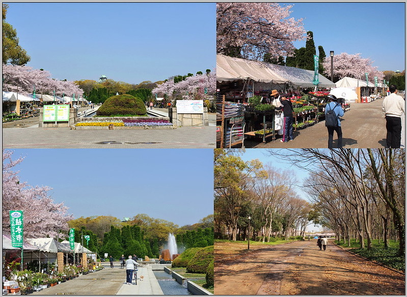 5 大阪城公園