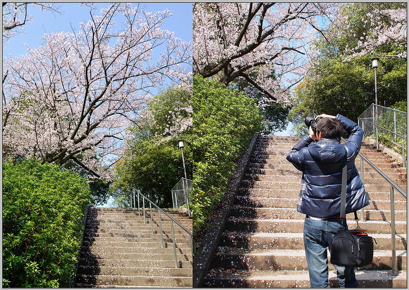 13 大阪城公園 玉造門遺趾