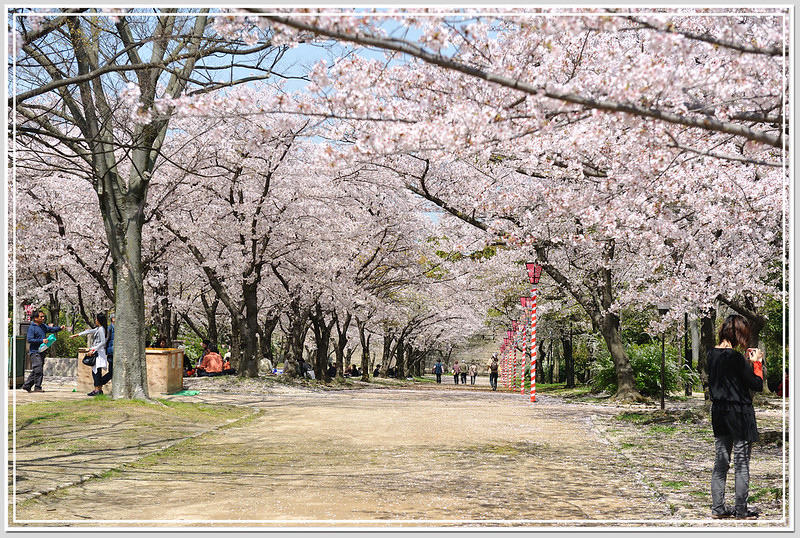 52 大阪城公園．西之丸庭園