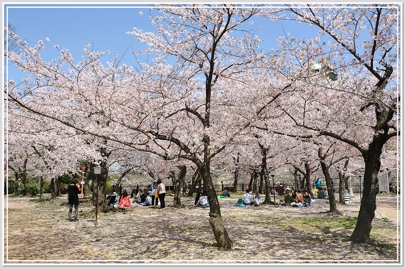 53 大阪城公園．西之丸庭園