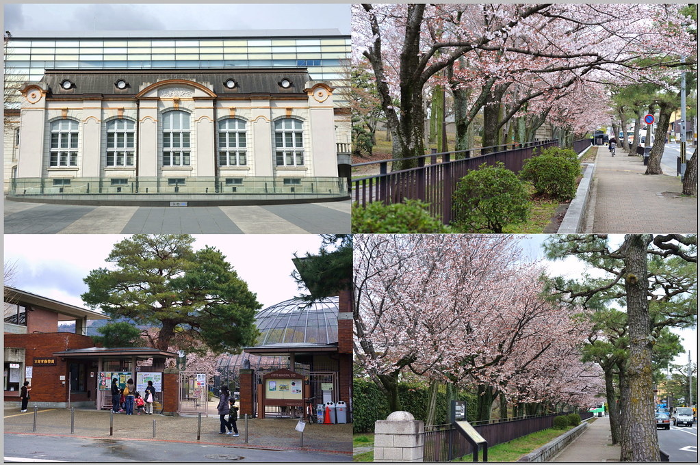 6 京都 圖書館、動物園