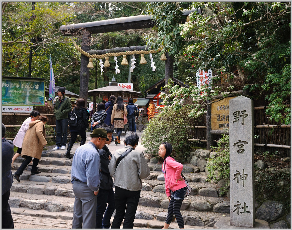 19 京都 嵐山 野宮神社