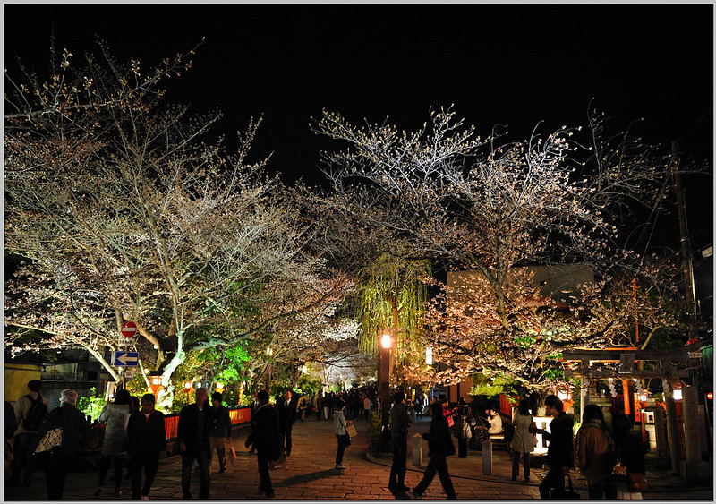 10 京都 白川南通