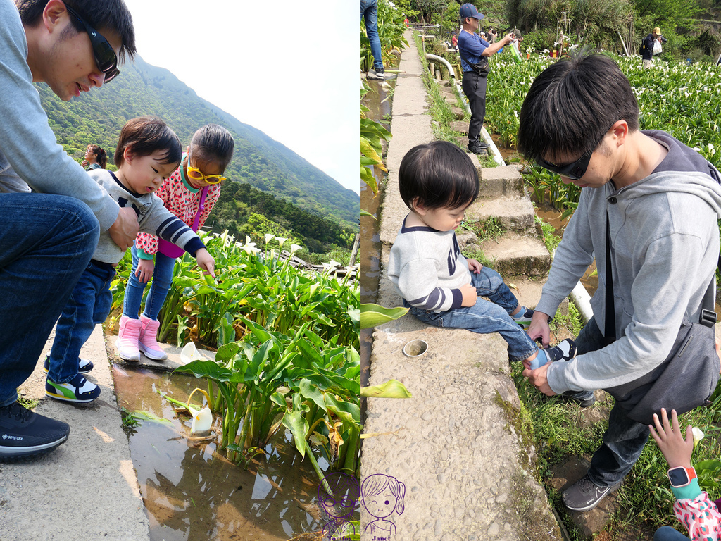 28 小瀑布海芋園 濕地型.jpg