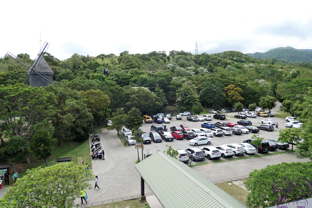 30 伯朗咖啡館 頭城城堡咖啡一館 油桐花.jpg