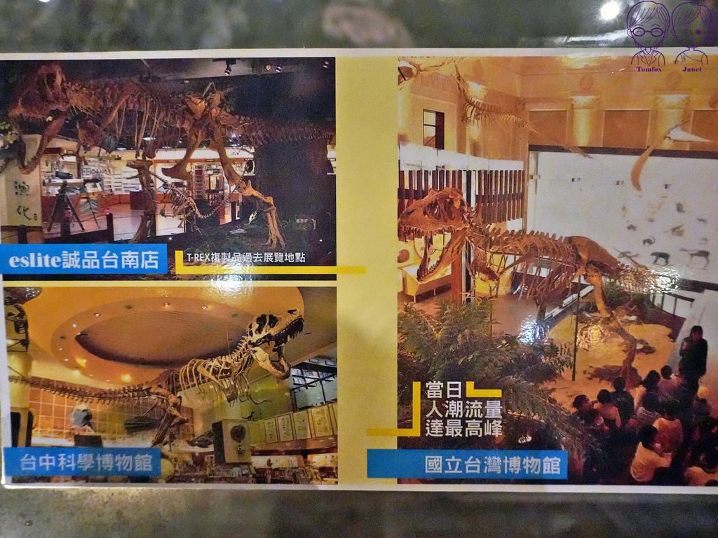 19 Robert Y廢墟暴龍館 暴龍廳化石展.jpg 19 Robert Y廢墟暴龍館 暴龍廳化石展.jpg